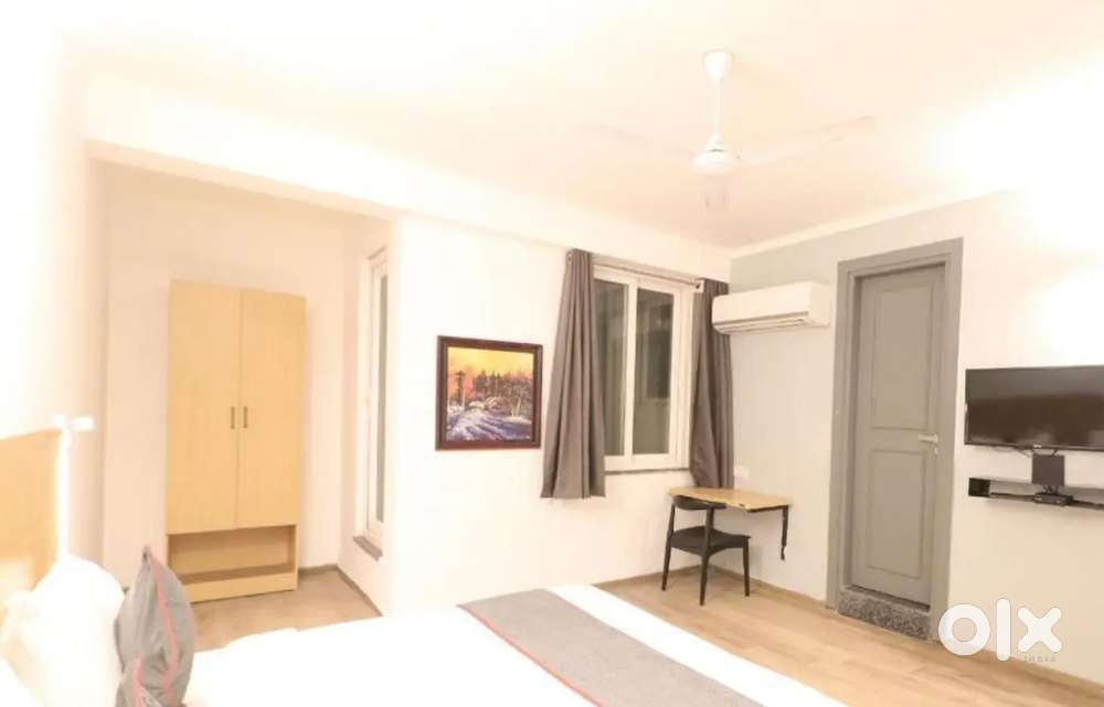 LUXURY PG WITH 3TYM FOOD IN SECTOR 38,45,44