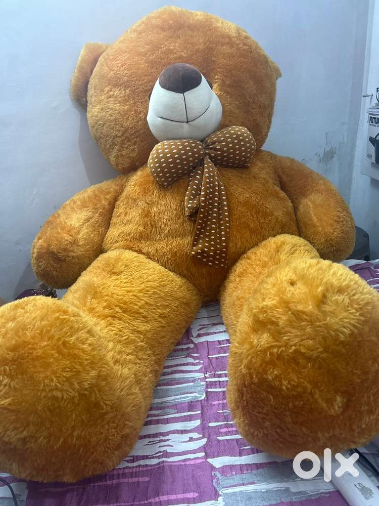 Teddy bear