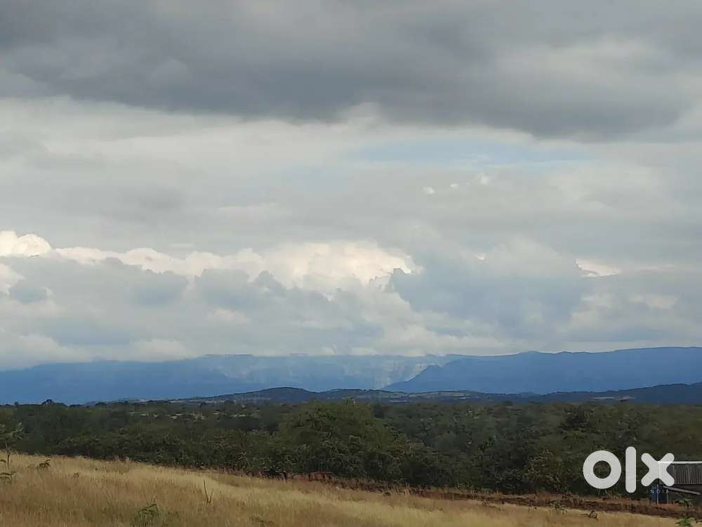 Plain agriculture land on rent.