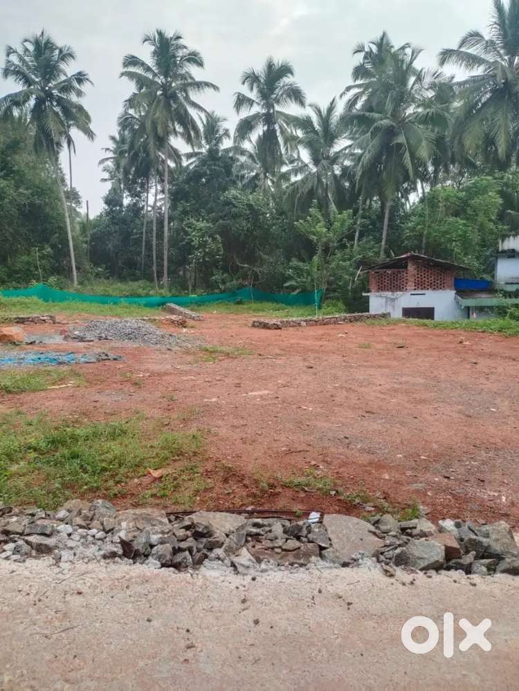 4.5 cent Plot for Sale near Parambil Bazar