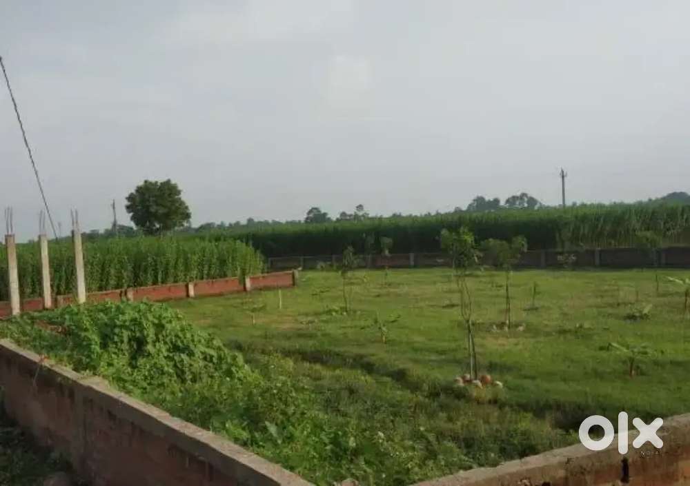 Residential plot Sale in gated society