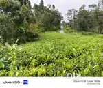 70 cent land for sale in vagamon