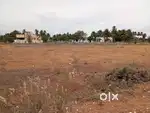 இடம் விற்பனைக்கு பள்ளி கூடம் அருகில். காங்கேயம் ரோடு திருப்பூர்