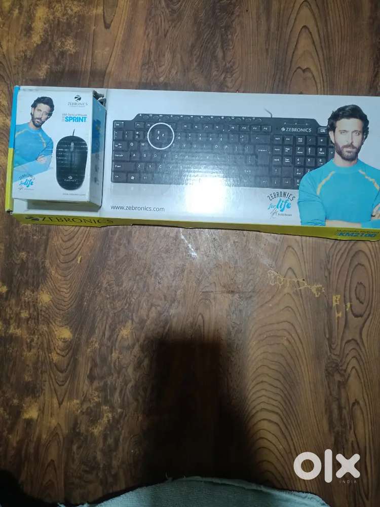 Zebronics Keyboard + Mouse combo