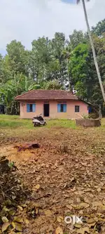 8cent land and old house for sale urgent sale near mangad bypass