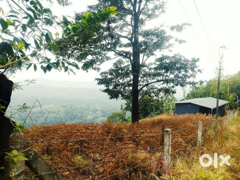 82 Cents Scenic Resort Land for Sale – Bison Valley, Idukki       ബൈസൺ