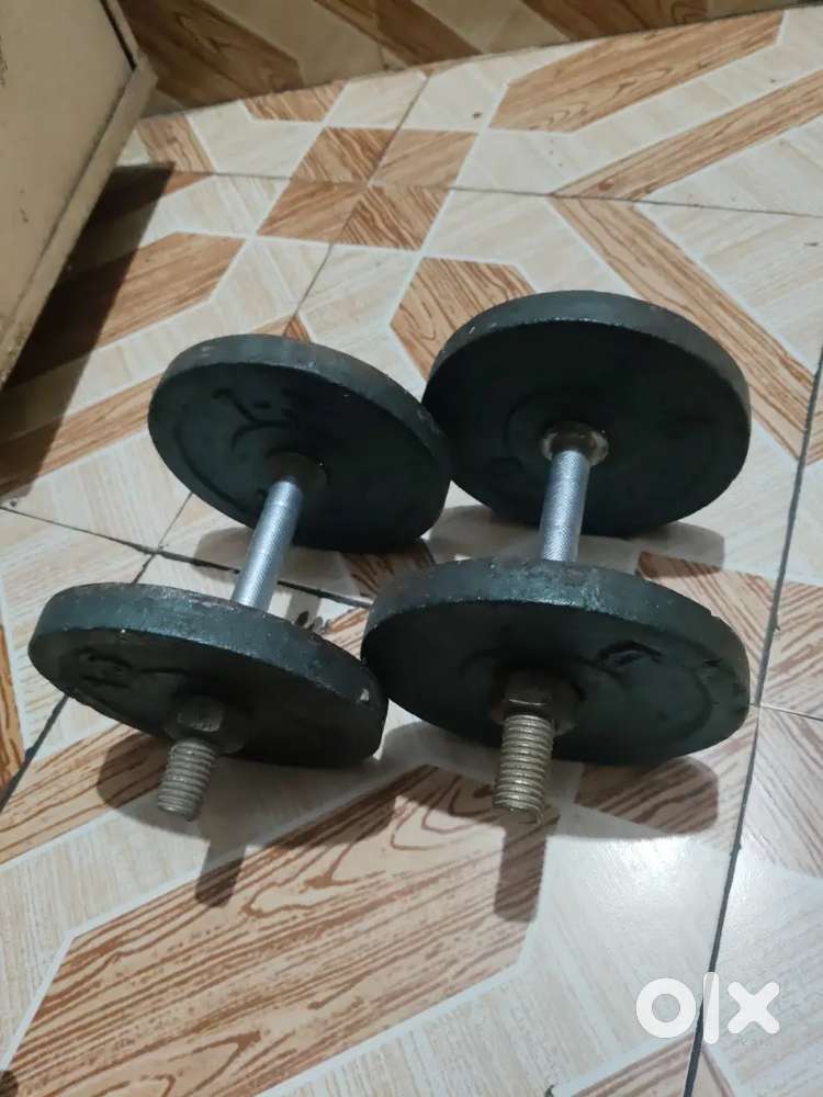 Cast iron weight palates