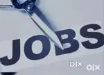 fresher or experience /+2 or 10th both aplly