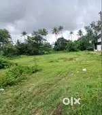 36 cents of residential plot for sale at Vennala.
