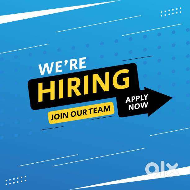 Urgent Job Openings for Website Designer