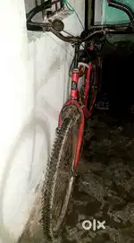22 Inch best Cycle