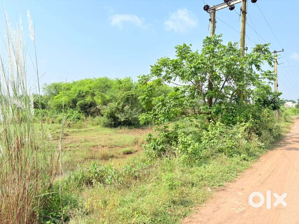 Plot for sale at jajpur road Goleichaak