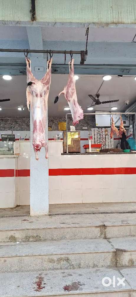 Fish cutting job and sale