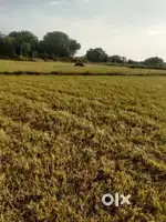2 acres agriculture land in ecr