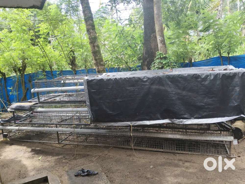 Puthiya high tech cage