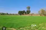 नॉर्दन बाईपास 13000sqft जनरल