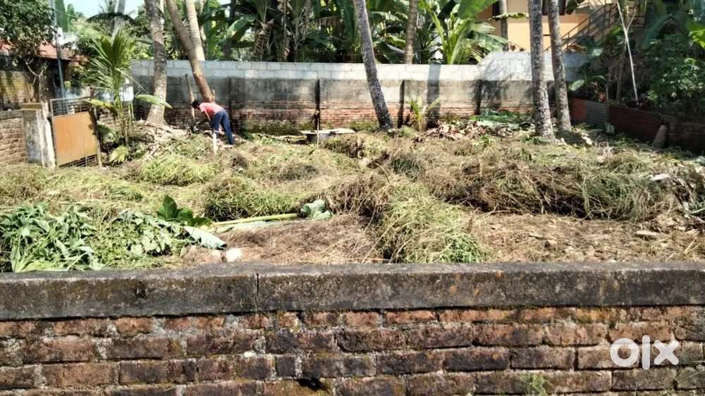 6 cent plot for sale