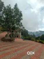 47 cents for sale in Kodaikanal
