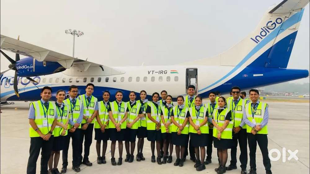 Limited seat available for Indigo airline apply fast