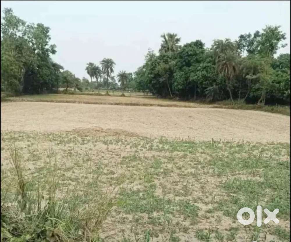 Near TOLL TAX 5 katha jamin sell