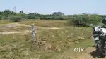 OMR payyanur