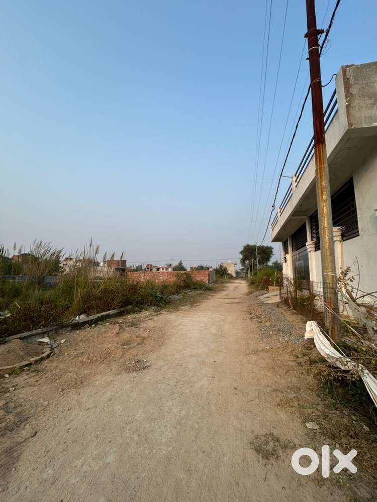 Immediate looking for sale my plot