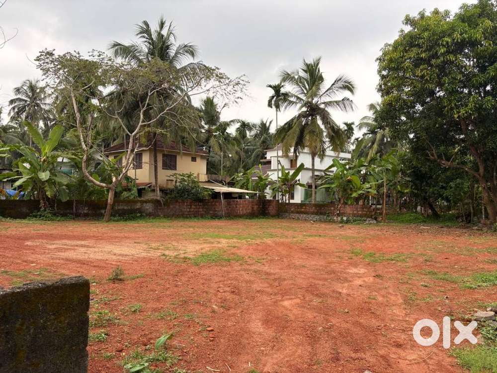Commercial plot for rent