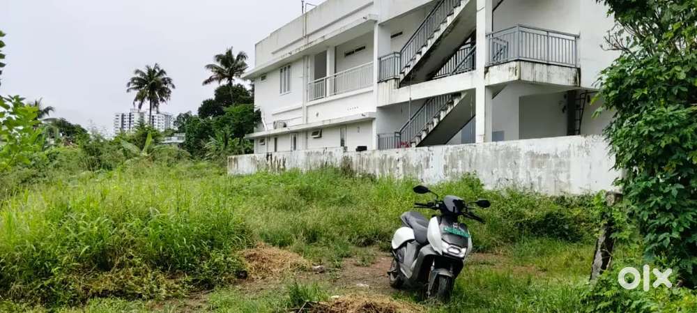 EDAPALLY THRIKKAKARA 6 CENT ORIGINAL LAND