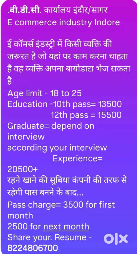 Data entry, stock management, team management