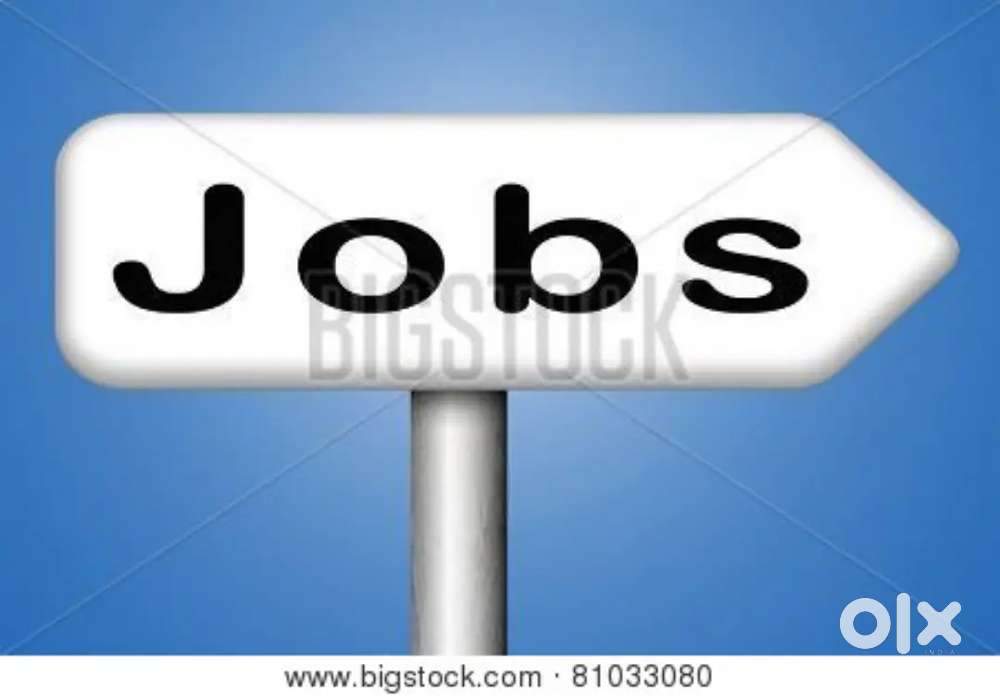 sweet store need male housekeeping staff
