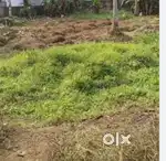 Land for sale on kottayam Puthupally main road