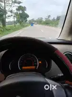 Private car driver