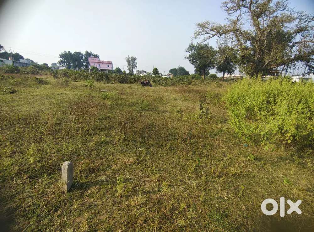 Baihar ward No 12, Kamalnagar, Balaghat road, kashthagar depo ke samne