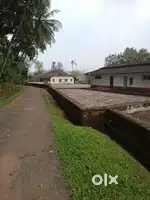220 ACKRS COFFEE ESTATE FOR SALE