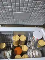 Deep Freezer 150lt