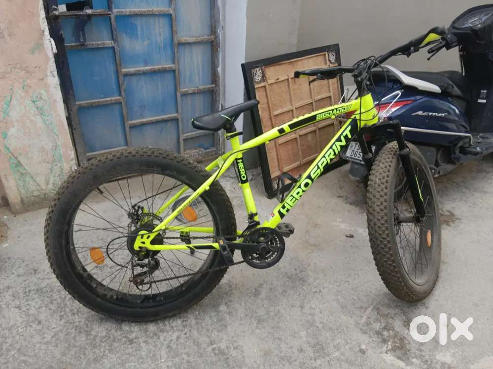 A fat bike