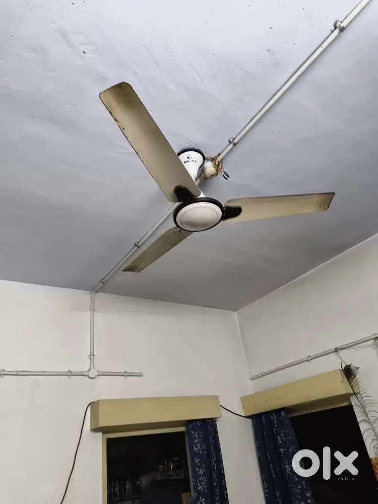Ceiling Fan Bajaj