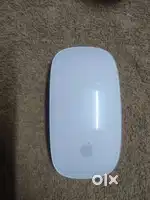 Apple Mouse 2 and Logitech MX Master 3