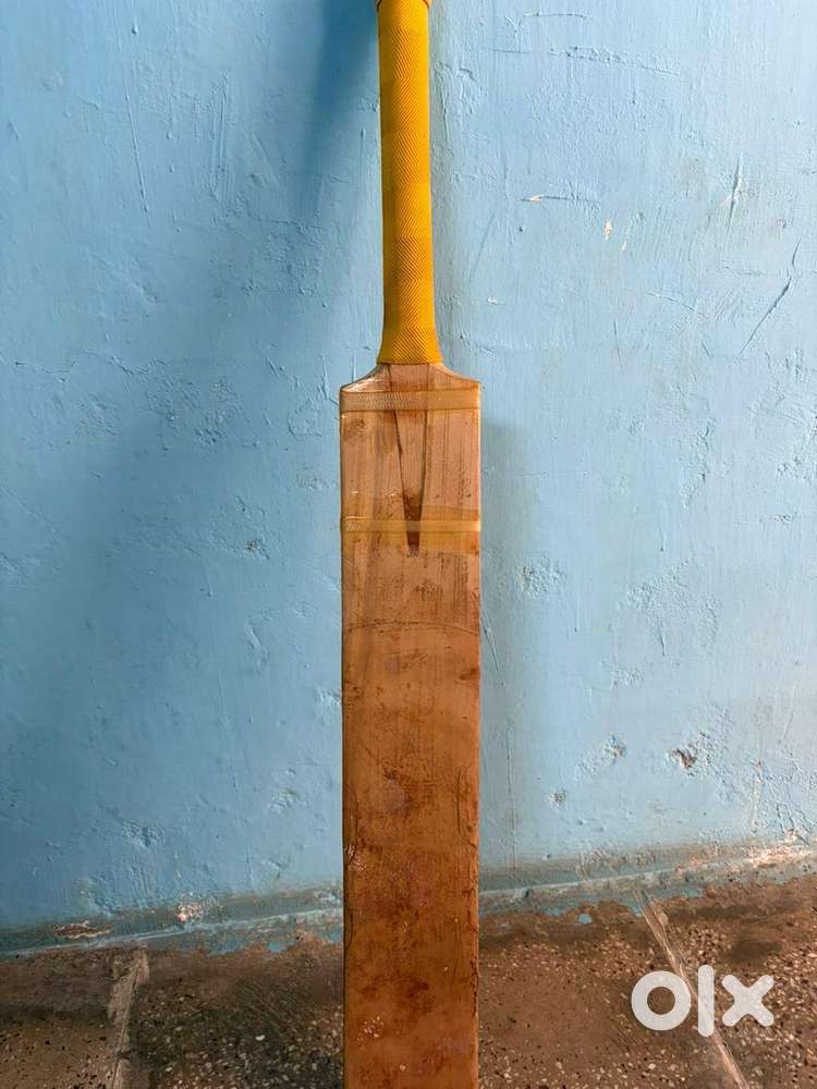 SS English Willow Cricket Bat