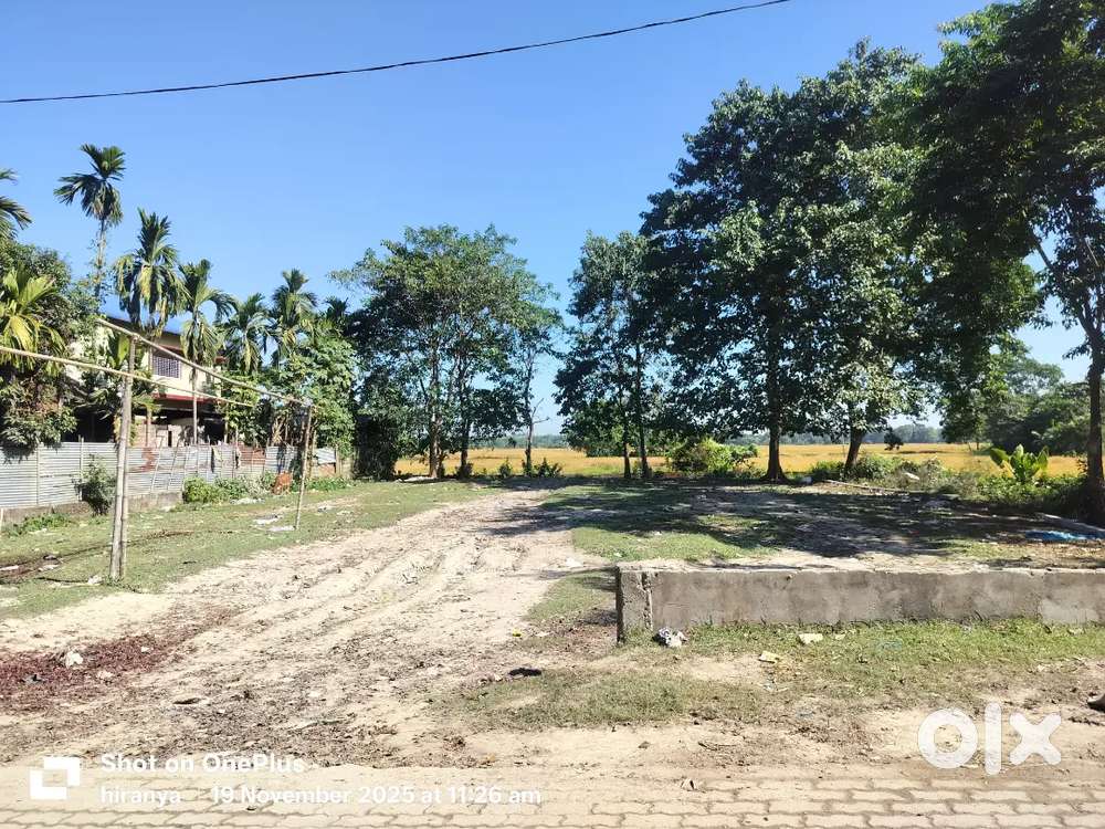 Myadi potta maati for sale, 22 lakhs per kotha