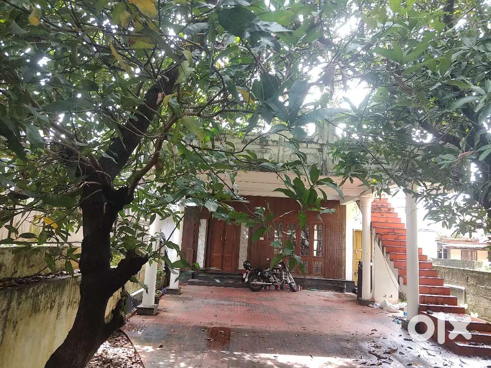 Edappally 3bhk HOUSE for sale