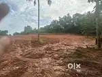 Plot for sale at thaikkattussery