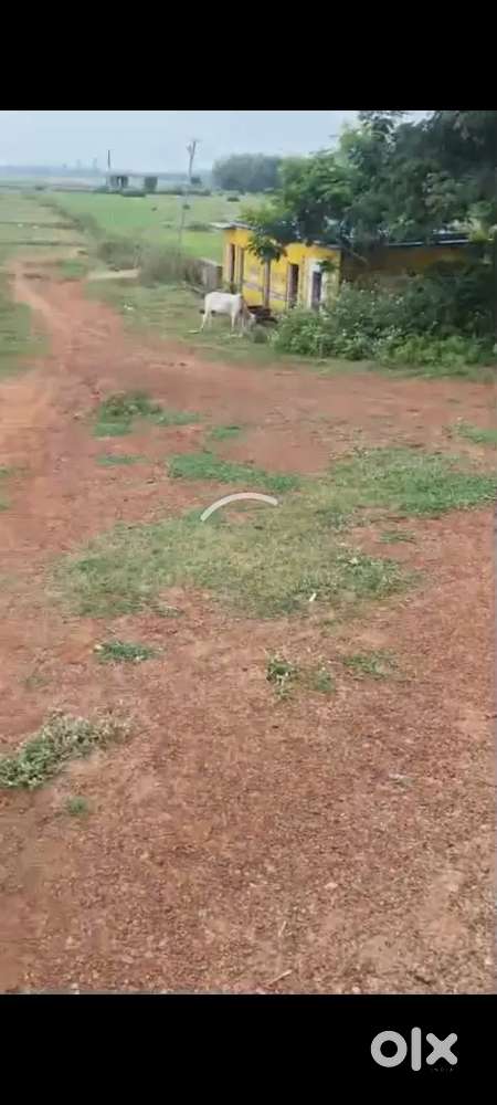 Plots available at affordable prices