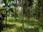 30 cents thota, in vorkady just 21 kilometres from thokottu karnataka