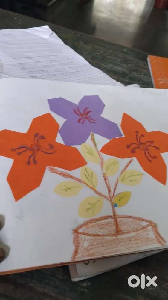 Require personal trainer at home for 5 year old child