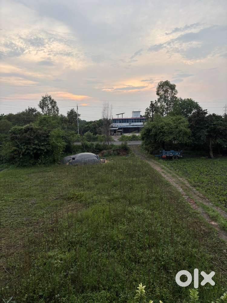 1.5 acre land near national highway 46 avaible on rent ,contract,lease