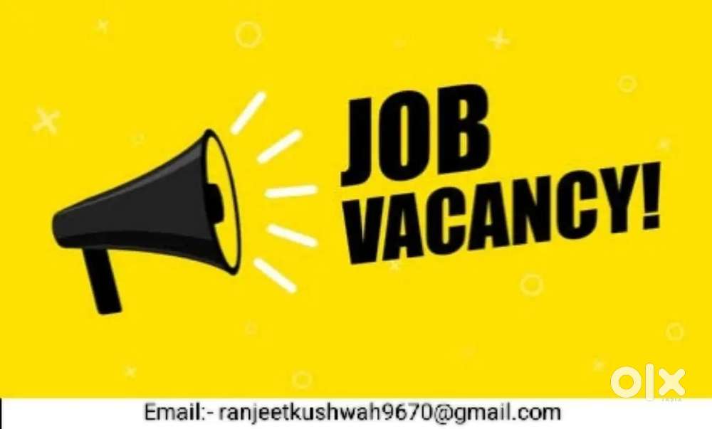 Work- Data entry, Back office work, Document Verification,Stock Manage