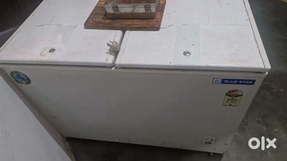 Blue star hard top deep freezer CF3-300MPW