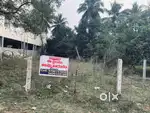 5.59 Cents Land/Plot/Site in Nallajerla East/West Godavari