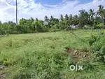Panneer madai near